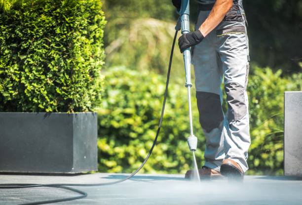 Best Driveway Pressure Washing  in Strodes Mills, PA